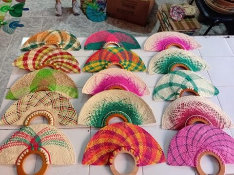 Mutlicolor colombian fans from palm leaf mix of 6